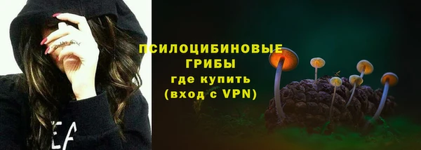 ПСИЛОЦИБИНОВЫЕ ГРИБЫ Арсеньев