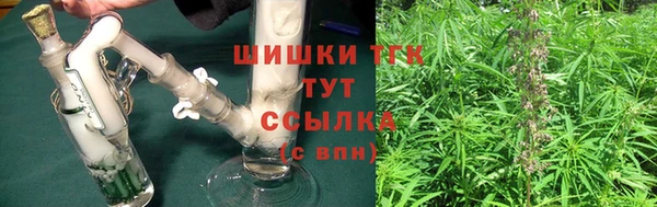 ПСИЛОЦИБИНОВЫЕ ГРИБЫ Арсеньев