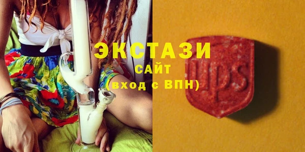 ешки Медногорск