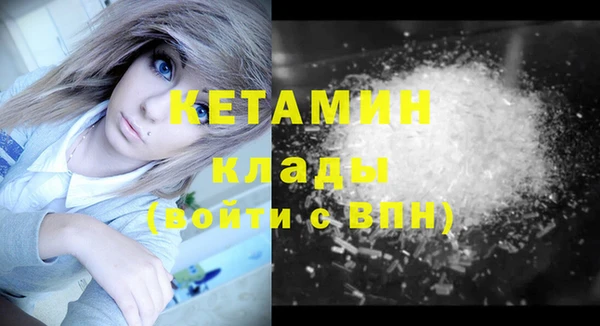 ПСИЛОЦИБИНОВЫЕ ГРИБЫ Арсеньев