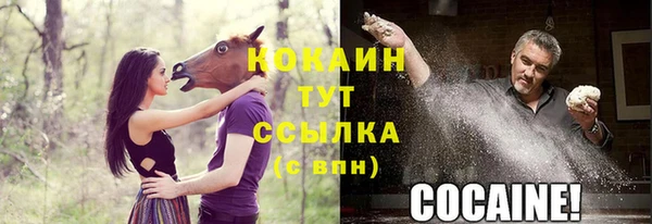 ПСИЛОЦИБИНОВЫЕ ГРИБЫ Арсеньев